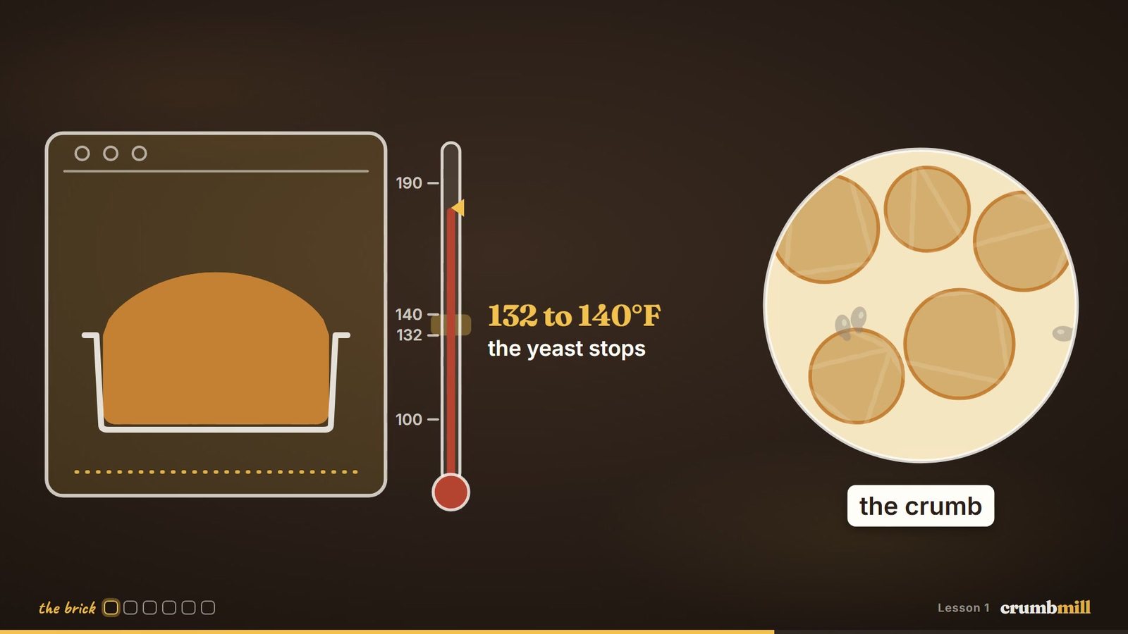A frame from the course: a loaf in the oven, a thermometer marked 132 to 140 degrees Fahrenheit where the yeast stops, and the crumb seen up close