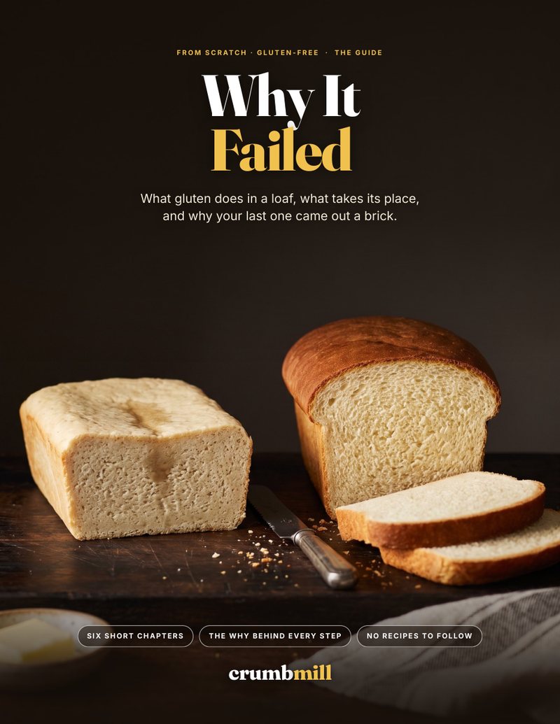 Why It Failed: The Guide